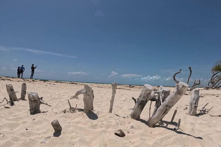 Cancun Airboat & ATV Jungle Adventure image
