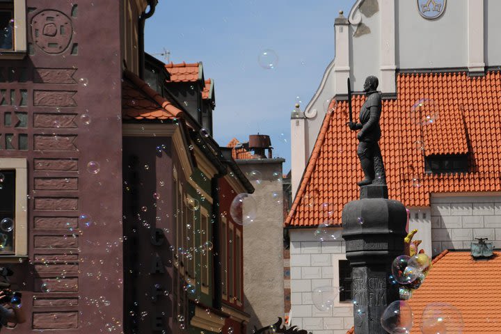 Discover Poznan: Walk, Take a tram and have a traditional snack image