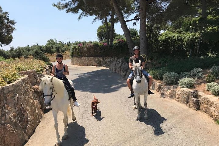 horses ride Salou image