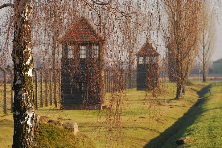 Auschwitz Guided Tour image