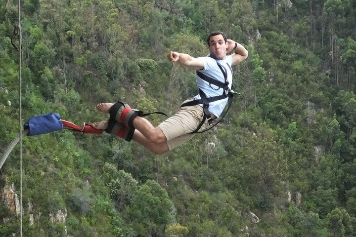 3 Day Big 5 and Bungee Tour - Garden Route Small Group Tour from Cape Town image