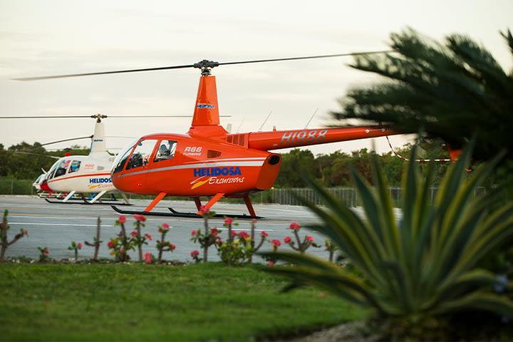 VIP Helicopter Saona Island  image