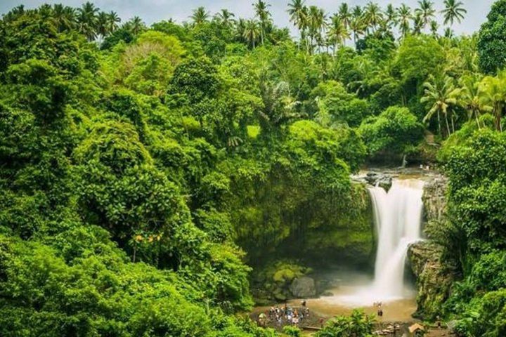 Ubud Instagram Spots Tour - One Day Private Trip image