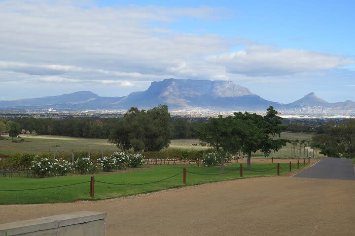 Four hour tour: Ostrich Ranch and Durbanville Wine Route image