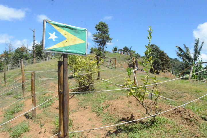 Aguas Buenas Agricultural Paradise Tour image