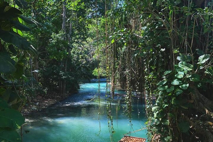 Martha Brae Bamboo Rafting plus Blue Hole and Secrets Fall Private Tour  image