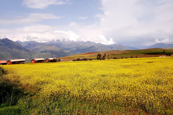 Sacred Valley tour with the most beautiful views image