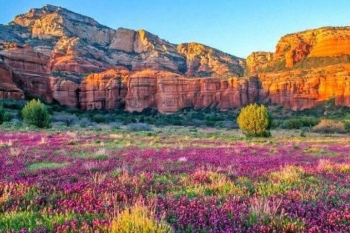 Scenic Sedona Tour image