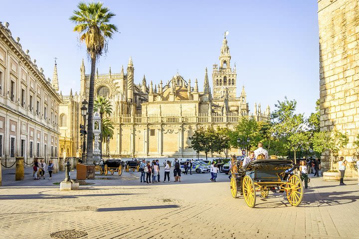 Seville One Day Trip from Granada, Alcazar, Cathedral and Giralda Guided Tour. image