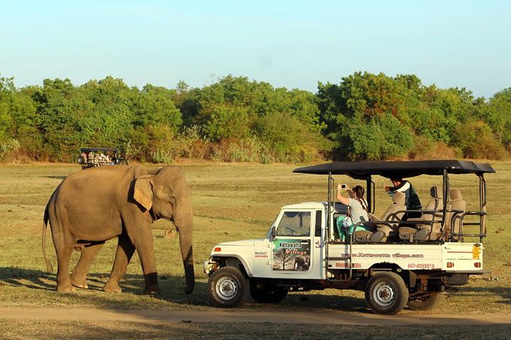 05 Days Wild Life Tour Per Day Package image