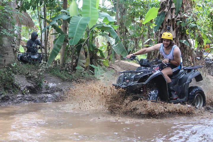 Bali Top Combo : Ubud ATV Snorkeling Private Guided Tour - Free WiFi  image