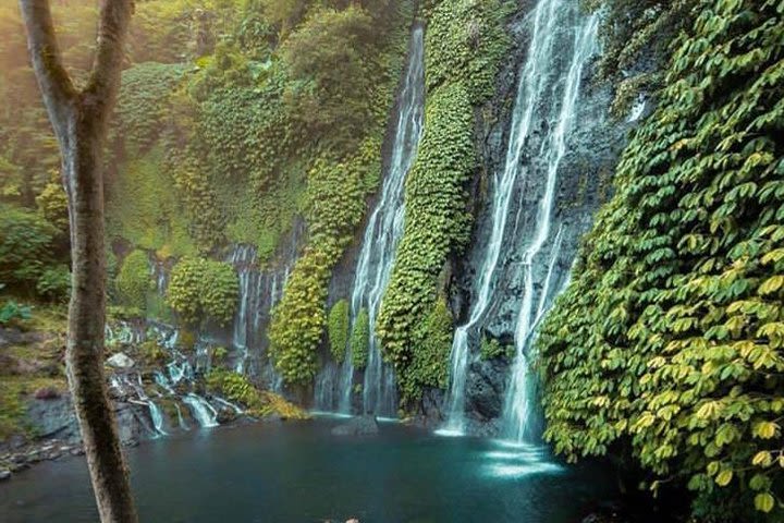 Private Sekumpul Waterfall, Banyumala Waterfall and Bedugul Temple  image