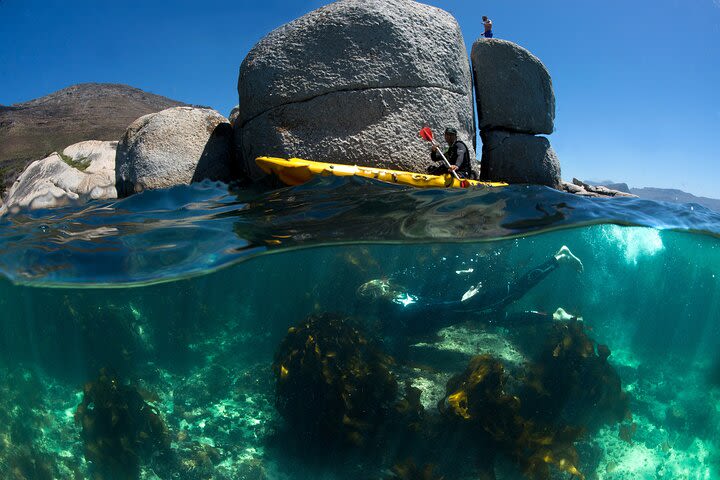 Full Day Private Sea Kayaking & Cape Point image