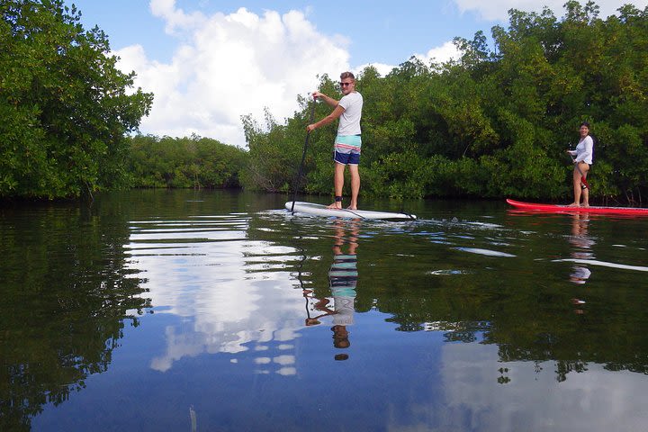 Stand up paddle in paradise image