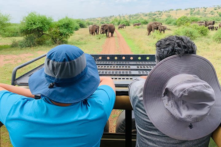 4-Day African Safari image