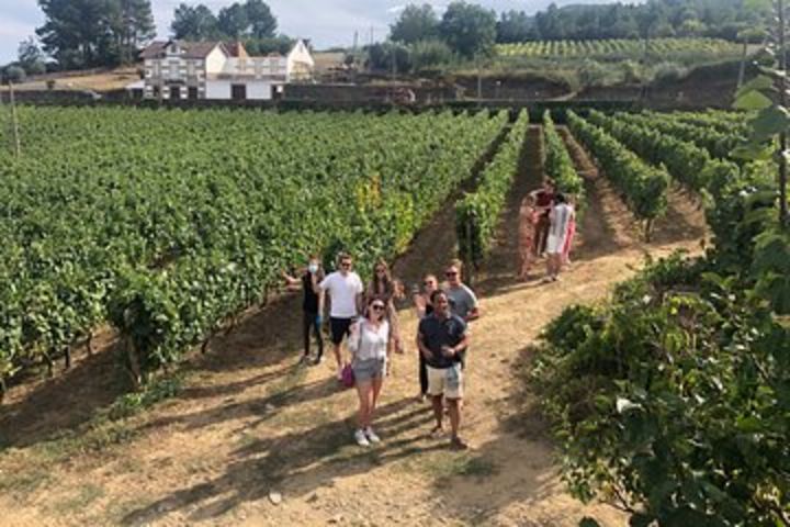 Douro Valley Tour: Wine Tasting, Lunch & River Cruise image