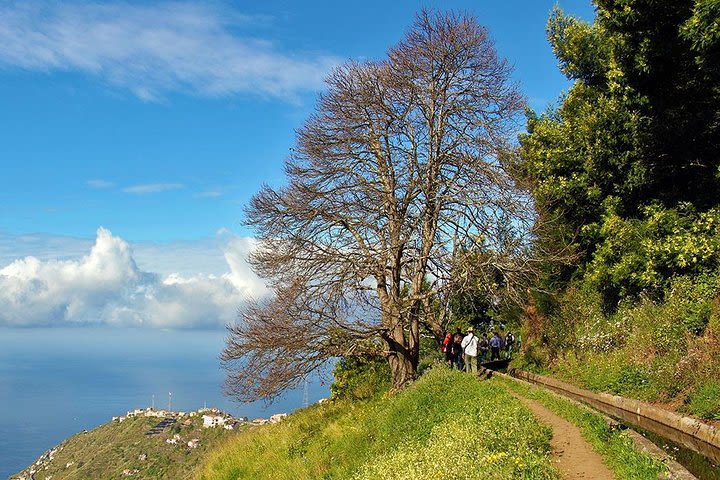 Walk - Levada Serra D´Água image