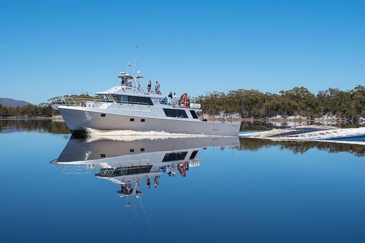 4-Day Cruise Expedition of Southwest Tasmania's World Heritage from Hobart image