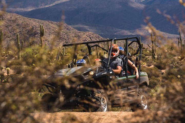 Sonoran Desert Guided UTV Adventure  image