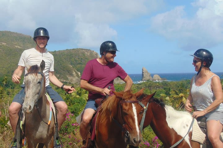 Nature & Historical Horseback Riding Tours St. Lucia image