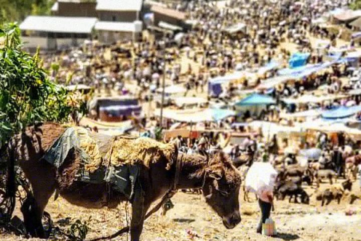 Lalibela Historic Churches Tour image