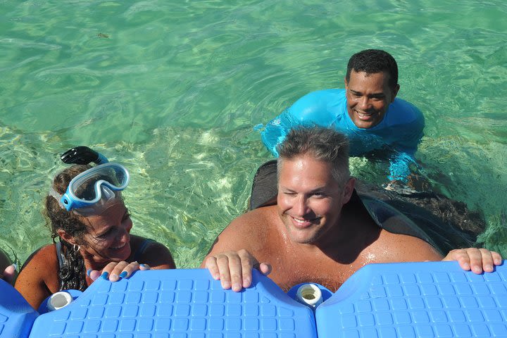 Four Adventures: Parasailing, Snorkeling Cruise, Sharks & Rays At Punta Cana image