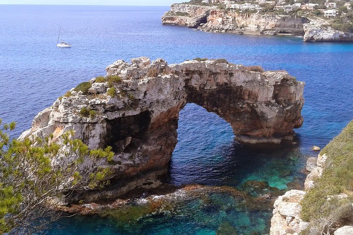 Boat tour from Cala Figuera to Caló del Moro and S´Almonia image