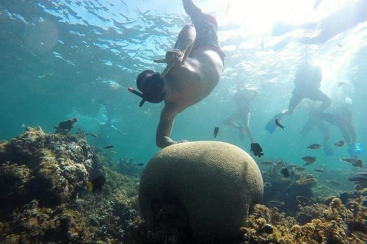 Scuba Diving Full Day At Catalina Island image