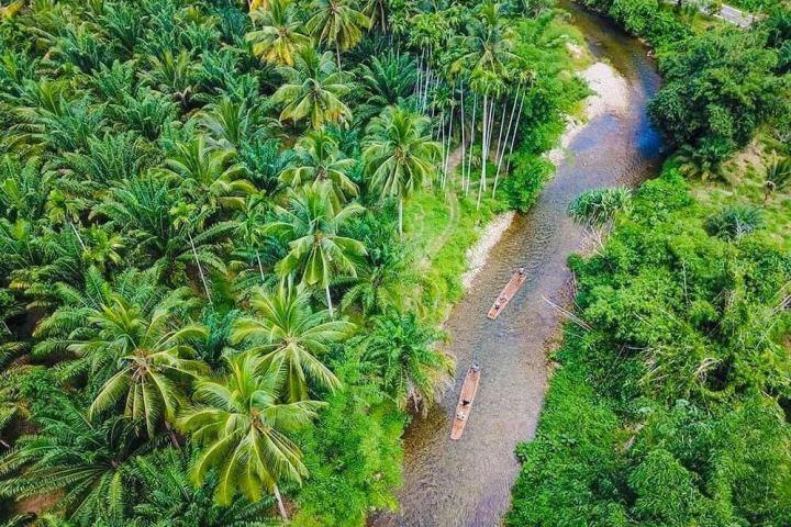 Bamboo Rafting & Turtle Conservation Tour image