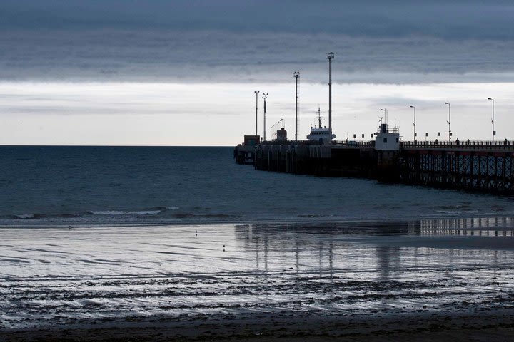 Puerto Madryn Gulf Sightseeing Cruise image