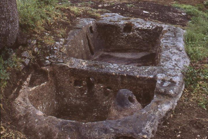  Guided tour of the Palmenti of Pietranico image