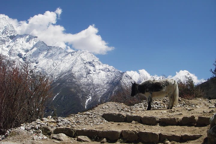 Everest - Cho La Pass - Gokyo Trek image