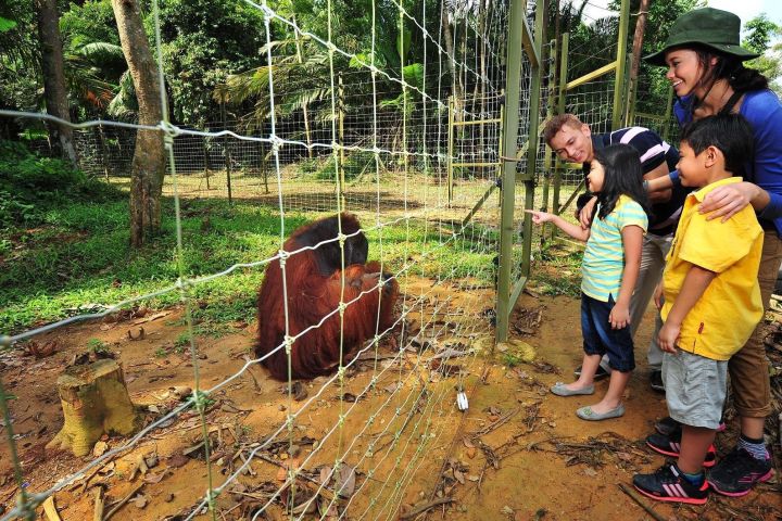 Ipoh Private Day Trip from Kuala Lumpur image