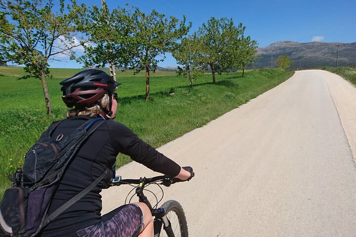 Electric Bike and Walking Tour of Ronda - Easy Level image