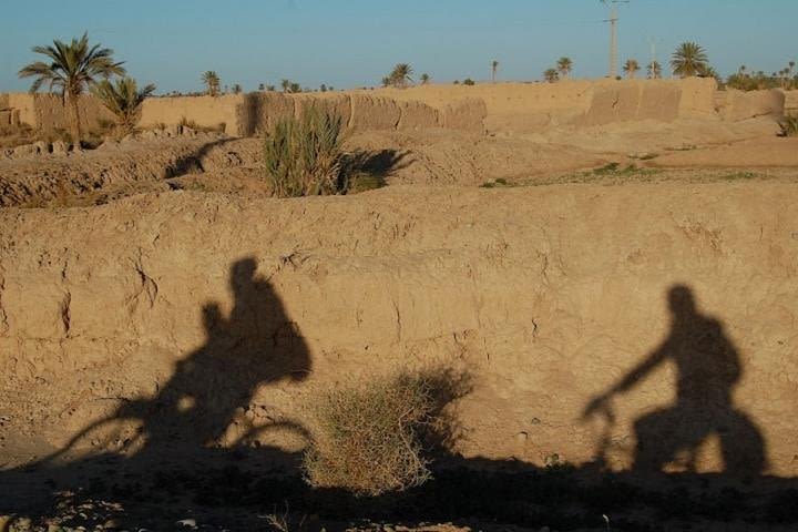 Tafilalet oasis by bicycle image