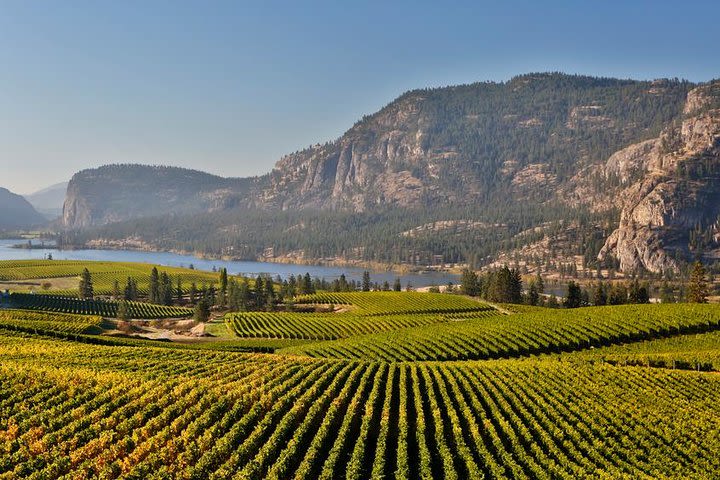 East Kelowna Wine Tour - Classic - 4 Wineries image