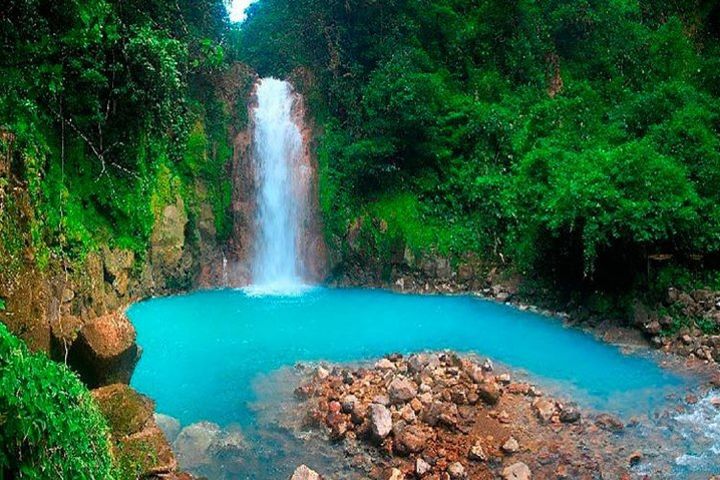 Rio Celeste Waterfall Hike from Arenal image