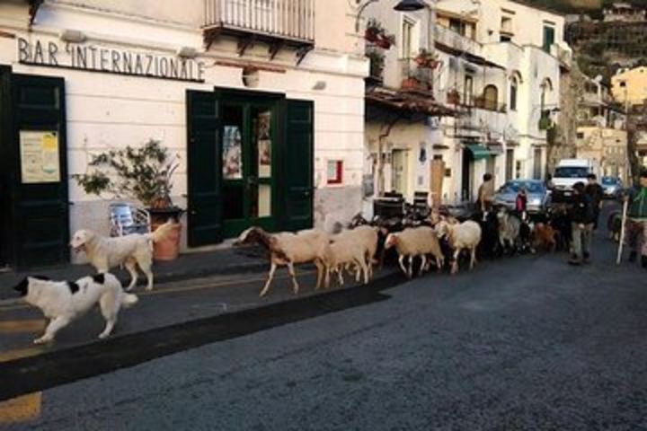 Amalfi Coast tour image