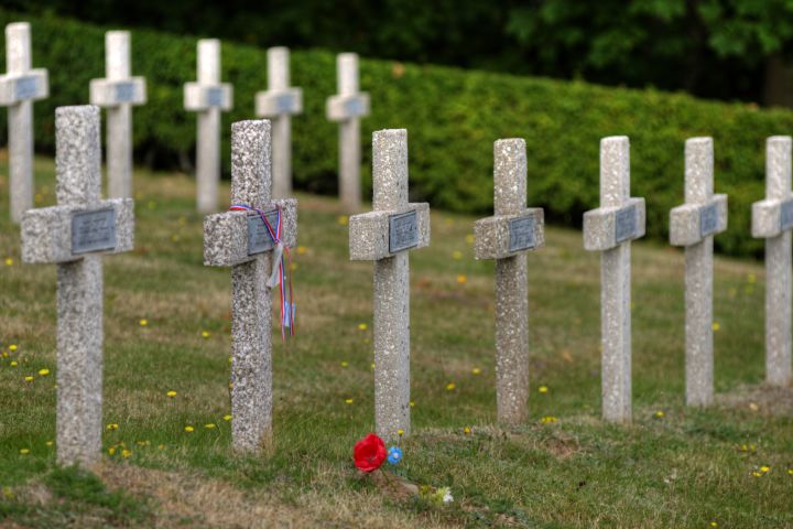 WW1 Memorial Tour from Colmar (private) image