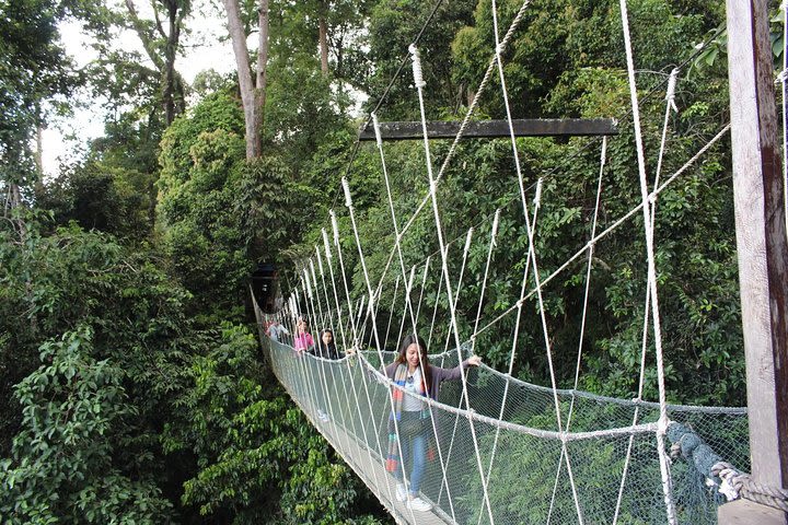 Kinabalu National Park & Poring Hot Spring image