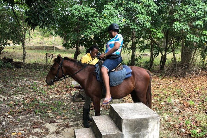 Customize Day Tour In Ochi (Horseback Riding,Rafting,Blue Hole, Dunns River ) image