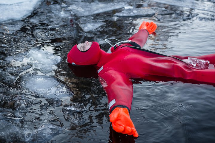 Arctic Ice Floating -Day floating image