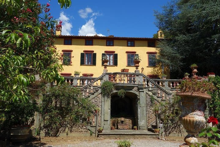 Private Wine Tasting Experience in Lucca with Traditional Tuscan Lunch image