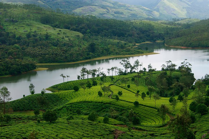 Best of Kerala Tour Package 7 nights / 8 days by Sanguine Holidays image