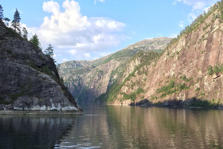 PRIVATE GUIDED TOUR: Secrets of the Fjords - the Osterfjord and Mo, 6-7 hours image