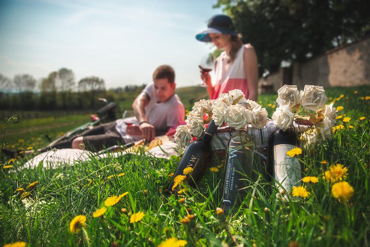 Private PICNIC in Bohemian Vineyards and Wine Tasting Tour in Off-Road Vehicle image