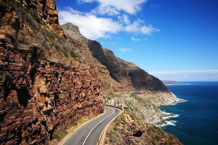 Full-Day Best of the Cape, Peninsula, Cape Point and Stellenbosch Tour image