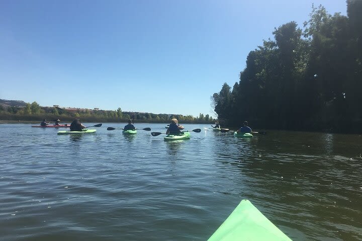 Historic Kayak Tour of Napa Valley image