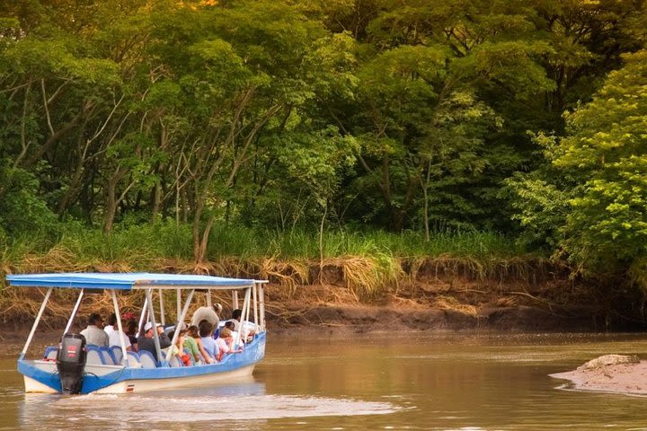 Palo Verde National Park Boat Tour and Liberia City Sightseeing image