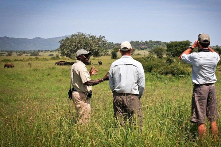 Bwindi Gorilla Trek and Guided Savannah Bush Walk - 5 Days  image